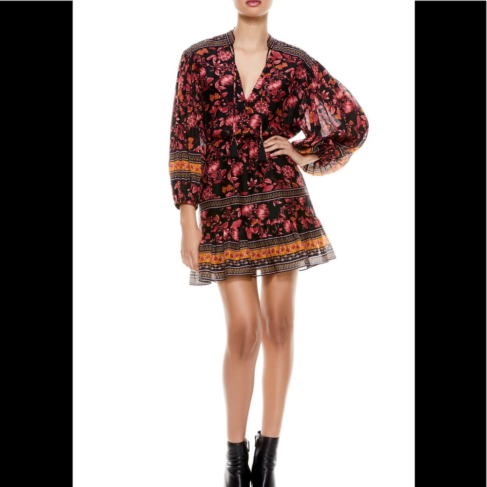 Alice and olivia dress size 2